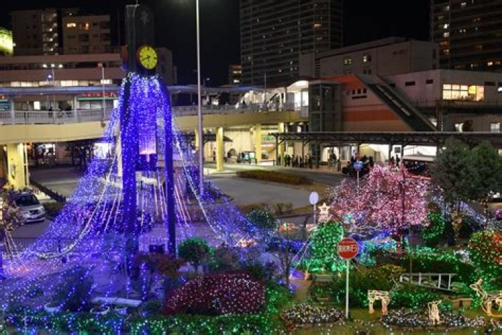 大阪・高槻「ゲリラ花火」今日どうなる？目撃と不安に備える現地ガイド